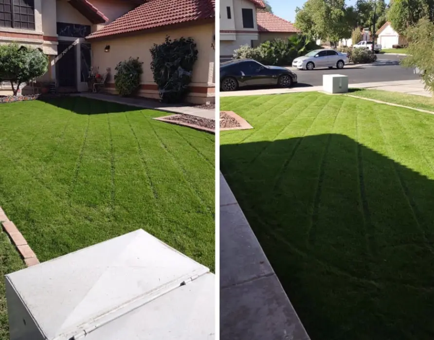 Professional Landscaping Service